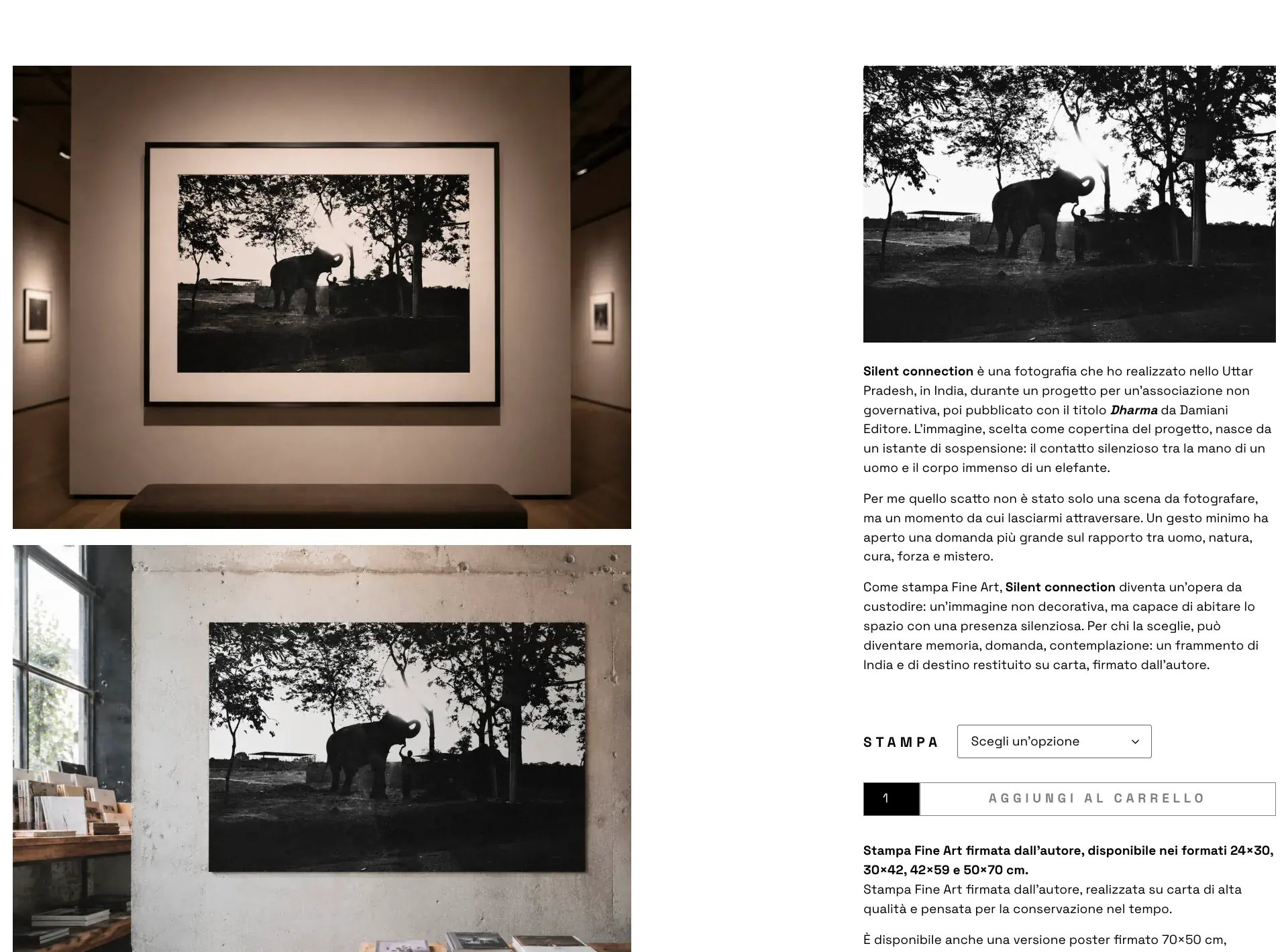 La scheda di una stampa: a sinistra due fotografie dell'opera appesa, in una sala espositiva e su un muro di cemento; a destra il testo dell'autore, il menu a tendina STAMPA per scegliere il formato e il pulsante nero Aggiungi al carrello.