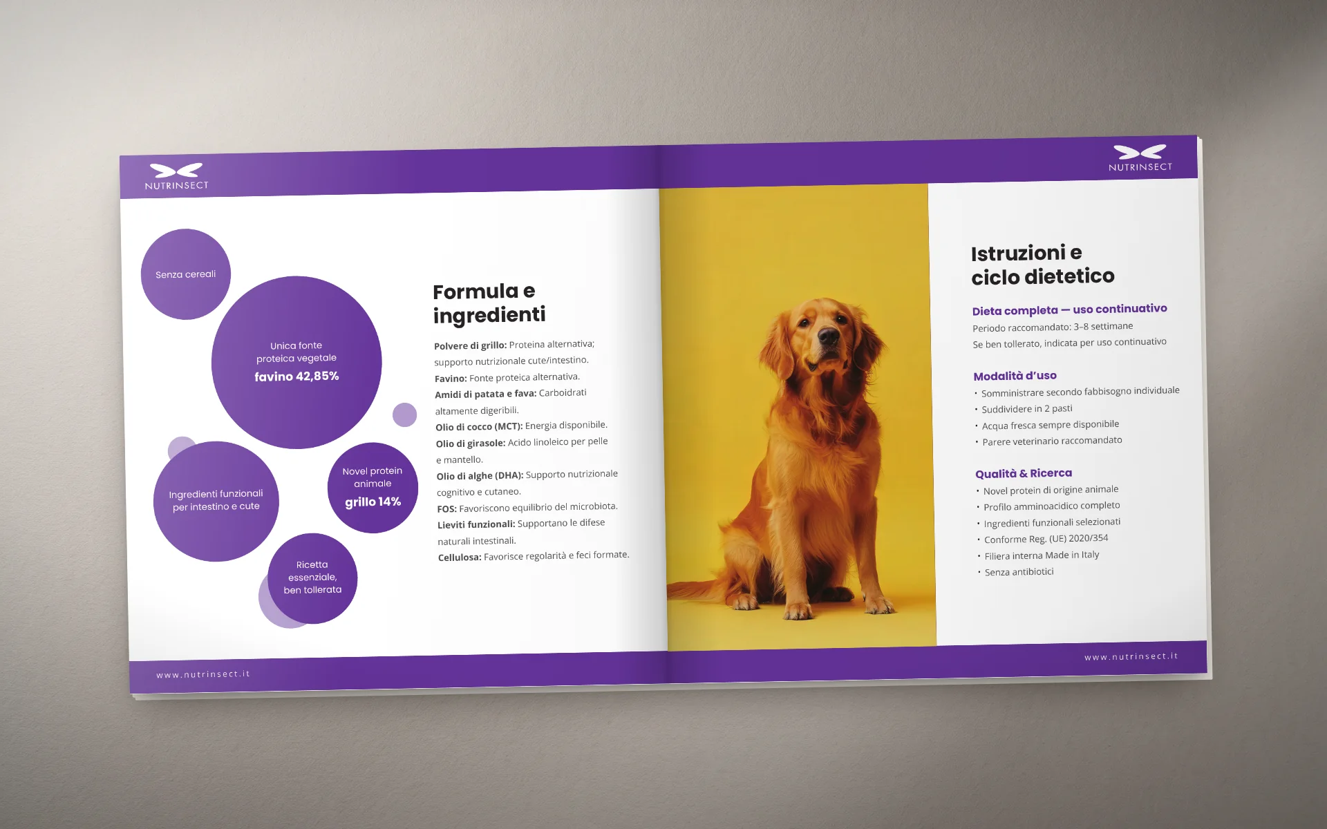 Mock-up: la brochure aperta su un piano grigio caldo, a sinistra i cerchi viola con le voci della formula accanto all'elenco degli ingredienti, al centro la foto di un golden retriever su fondo giallo, a destra le istruzioni e il ciclo dietetico.