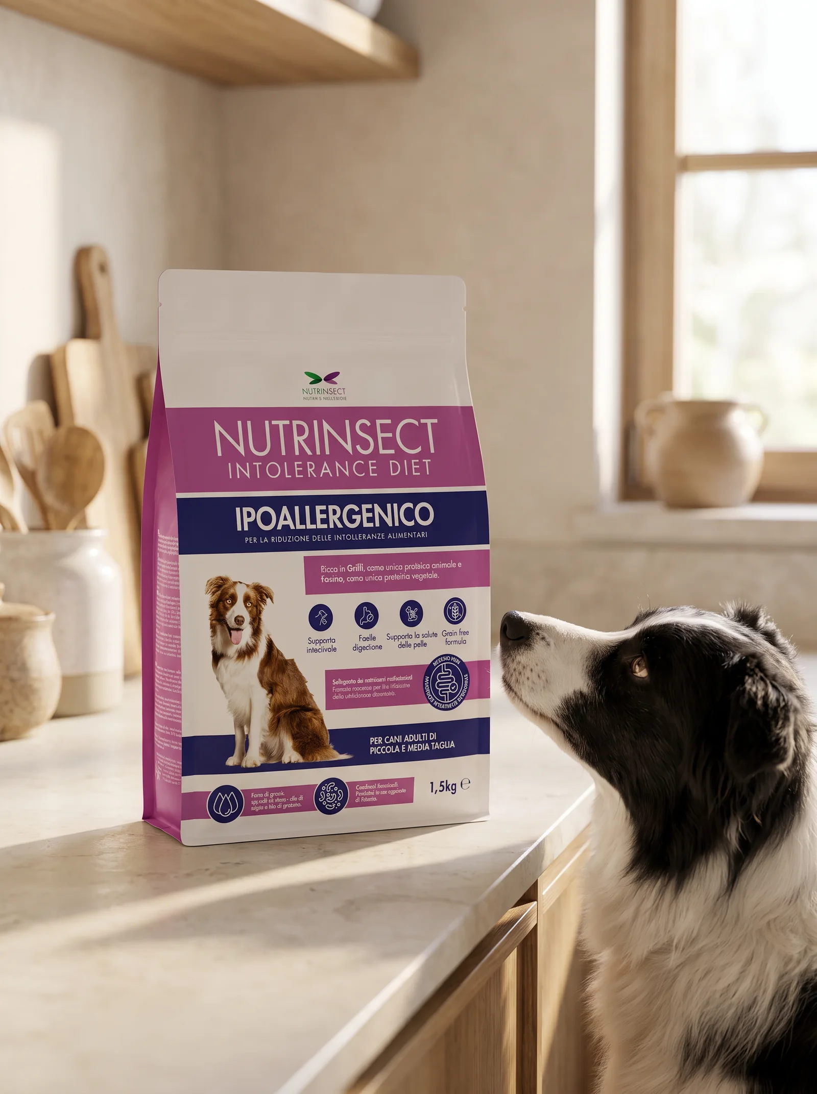 Mock-up generato: la busta in piedi su un piano di cucina chiaro e un border collie seduto accanto che la guarda dal basso, cucina sfocata dietro e luce di mattina da destra.