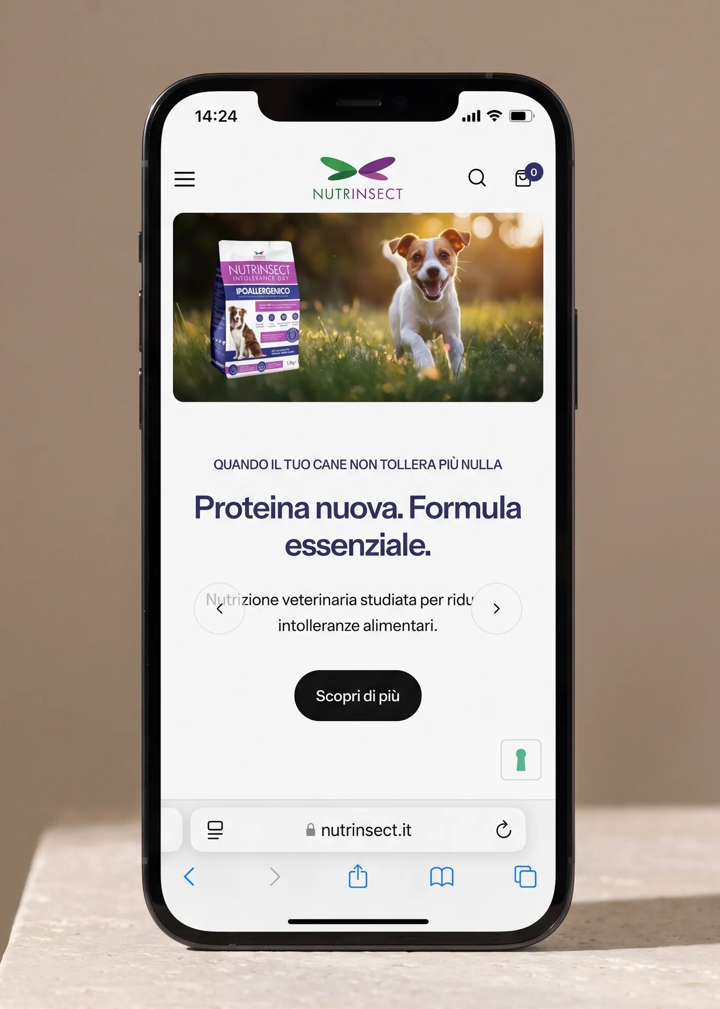 Mock-up generato: la home aperta in Safari su un telefono in piedi su un blocco di pietra chiara, visto di fronte, con la barra di stato in cima, la diapositiva del cane che corre, il titolo, il pulsante e in fondo la barra dell'indirizzo.