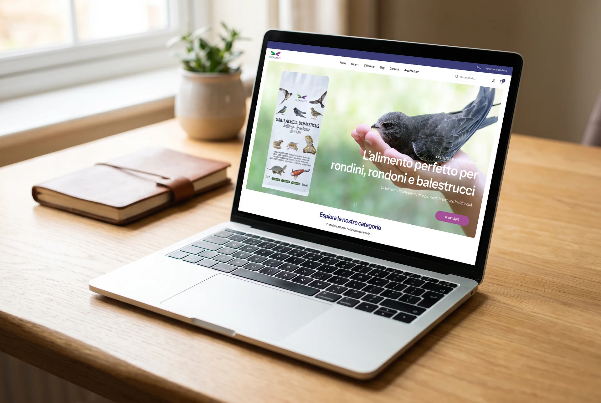Mock-up: la home di nutrinsect.it sullo schermo di un portatile aperto su una scrivania di legno chiaro, con la diapositiva della busta dei liofilizzati e la fotografia di un rondone tenuto in mano.