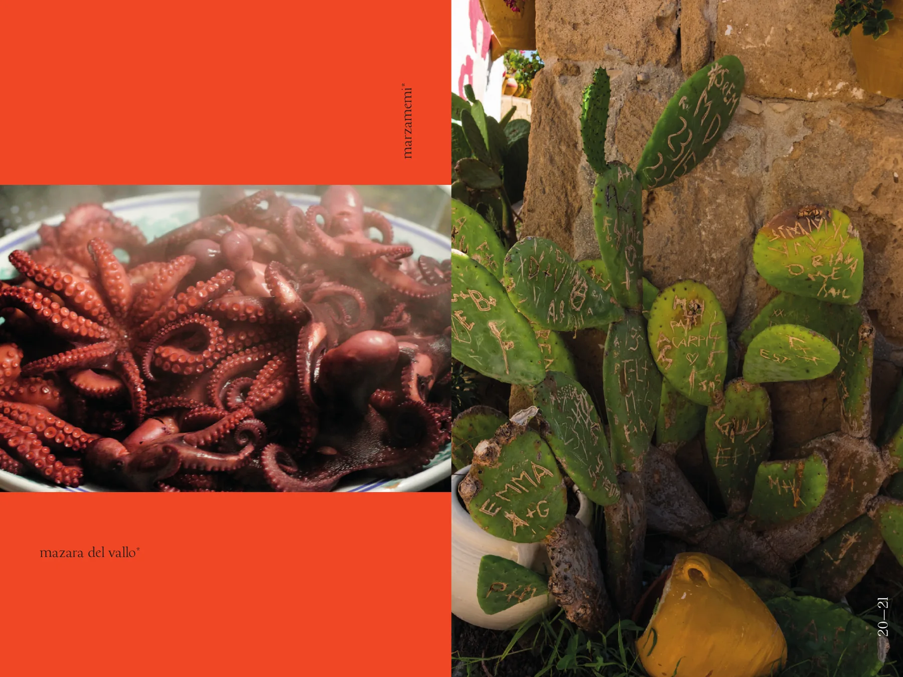 Doppia pagina: a sinistra un piatto di polpi appena bolliti su fondo rosso pieno, con le didascalie marzamemi* e mazara del vallo*; a destra, a piena pagina, una pianta di fichi d'India con nomi e iniziali incisi sulle pale.