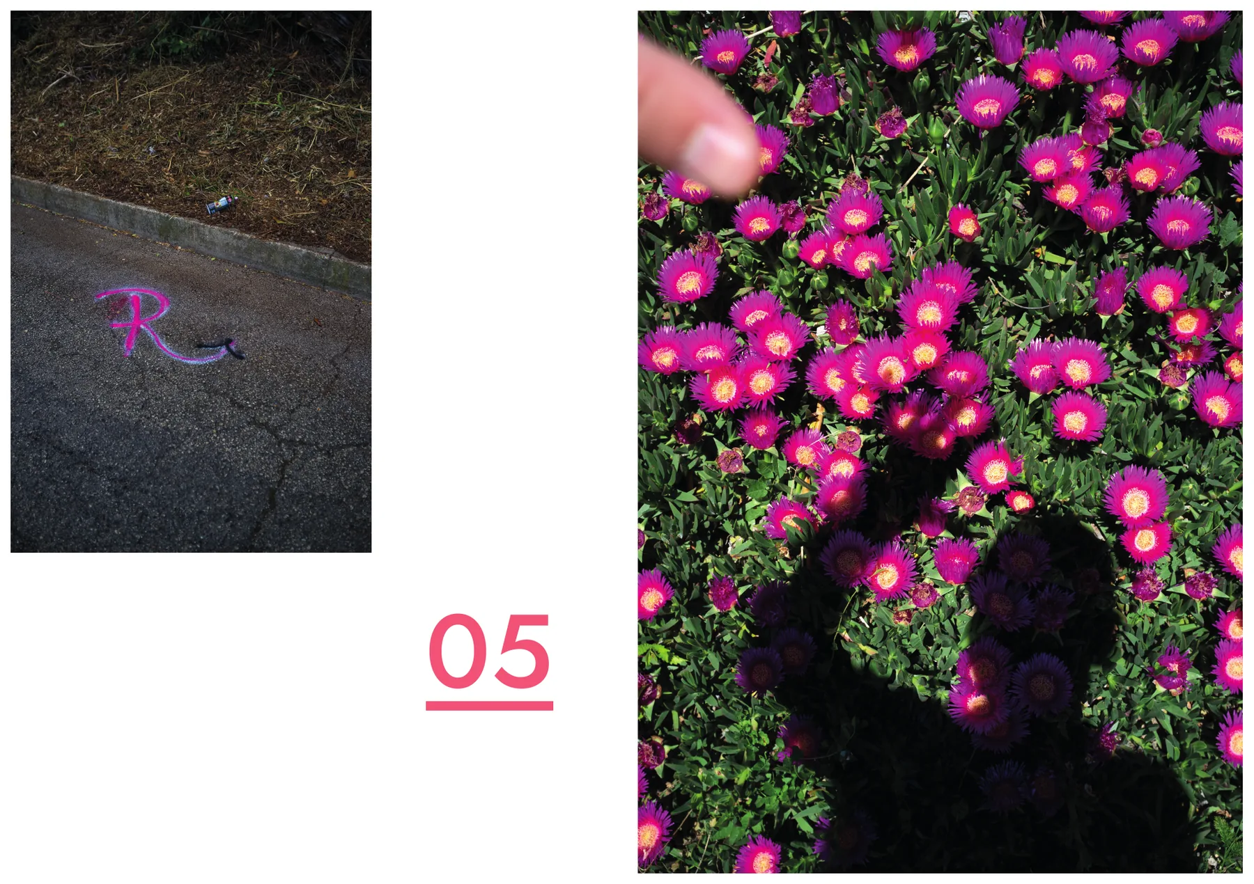 Doppia pagina: a sinistra una piccola fotografia di una R scritta col gesso rosa sull'asfalto, a destra a piena pagina un tappeto di fiori magenta con al centro una macchia scura; in mezzo il numero 05 sottolineato.